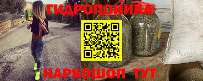 стафф Краснознаменск