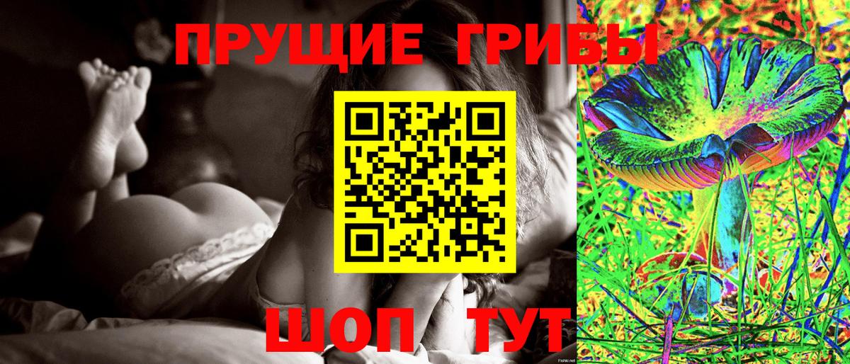 Псилоцибиновые грибы MAGIC MUSHROOMS Санкт-Петербург